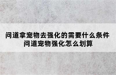 问道拿宠物去强化的需要什么条件 问道宠物强化怎么划算